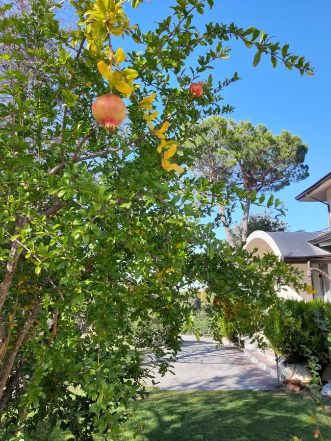 Hotel Panorama San Valentino in Abruzzo Citeriore Zewnętrze zdjęcie